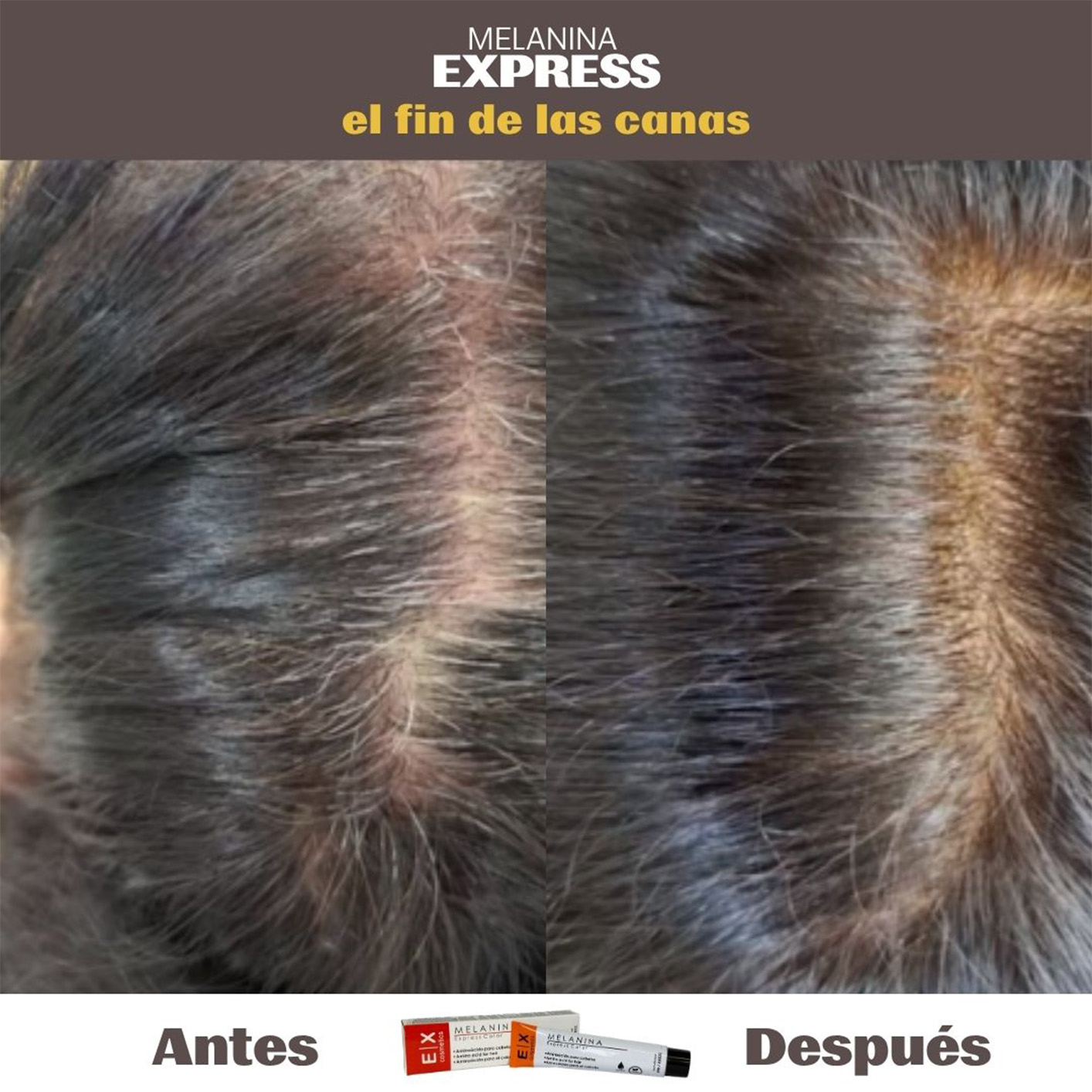 Melanina Express
